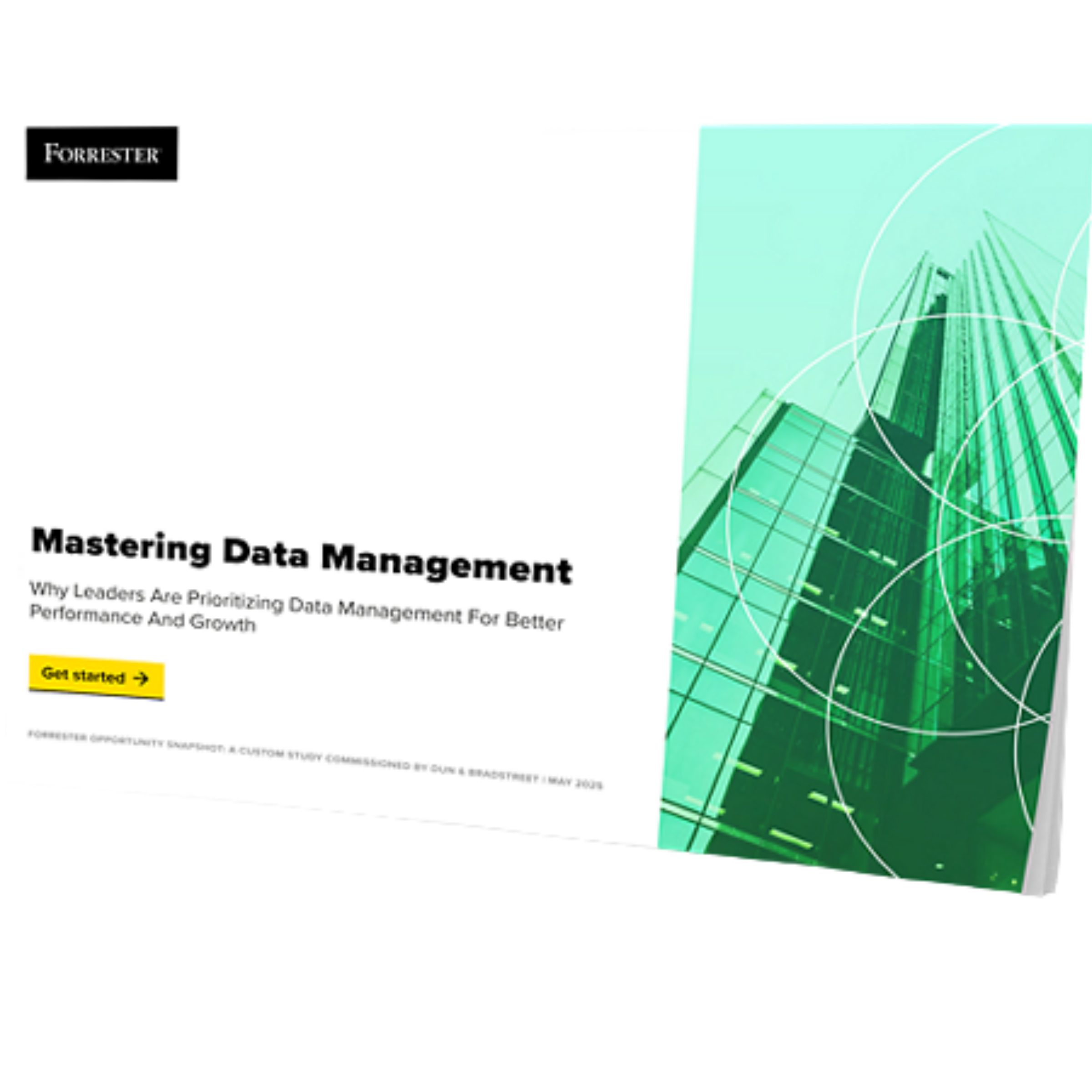 D&B Survey: Why Leaders Are Prioritizing Master Data Management