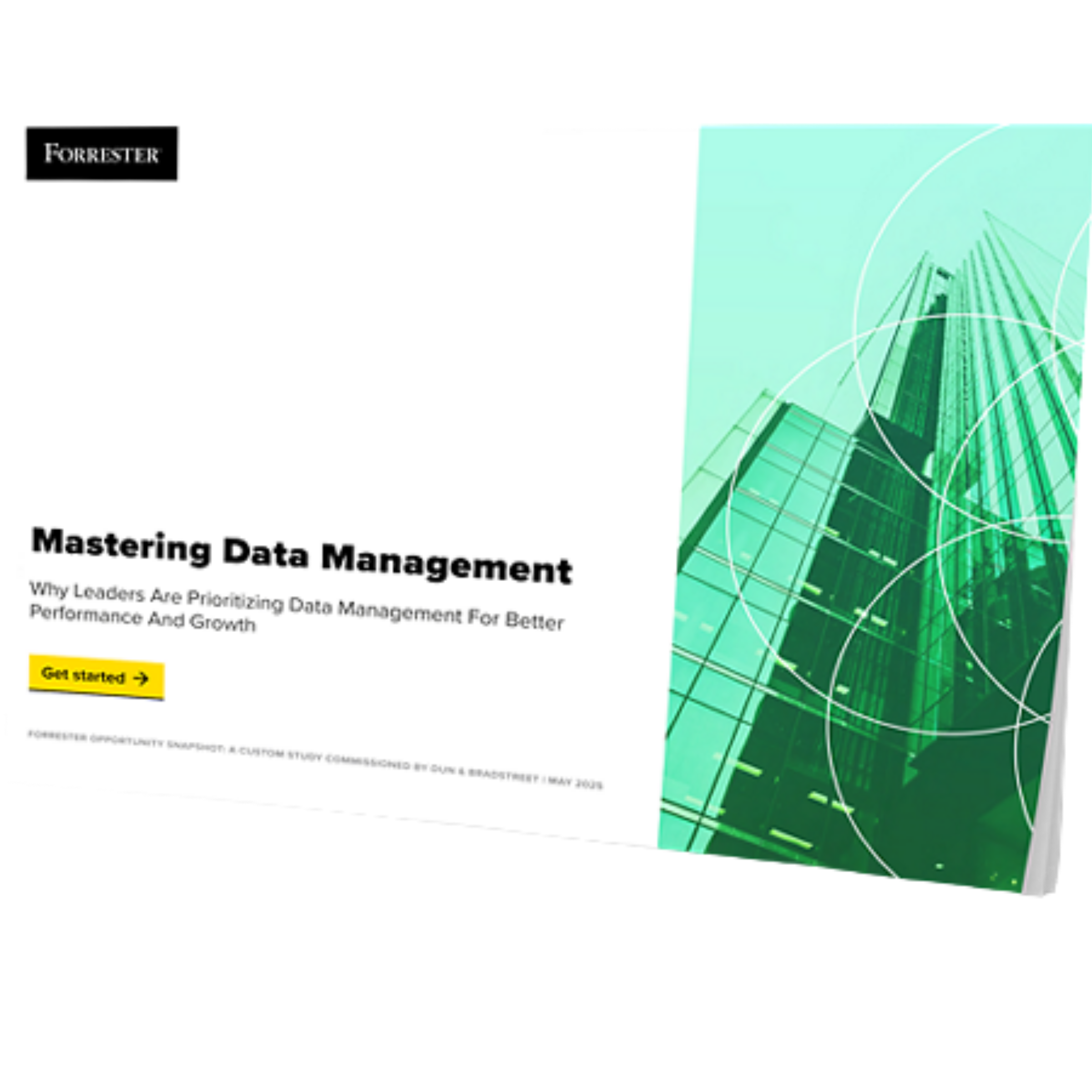 D&B Survey: Why Leaders Are Prioritizing Master Data Management