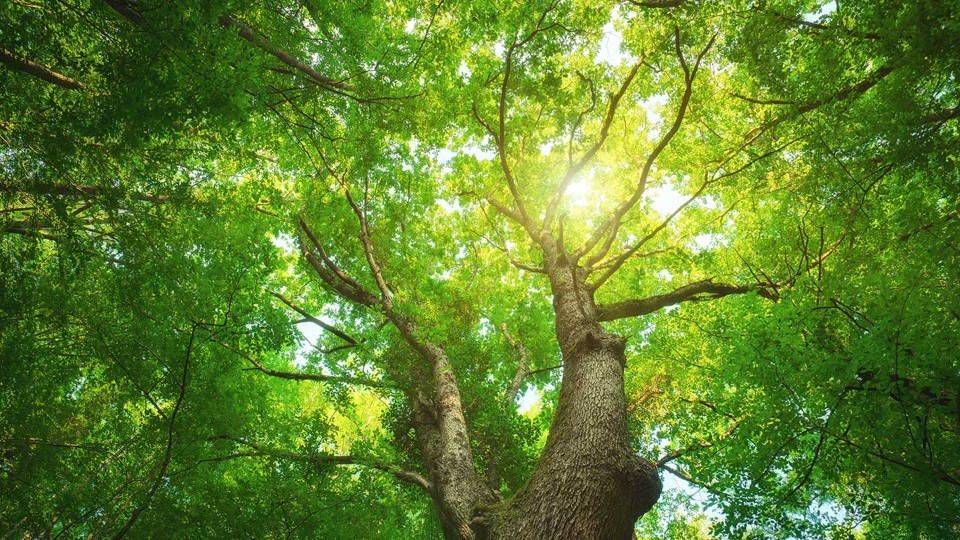 企業永續報告書是什麼？永續報告書如何撰寫