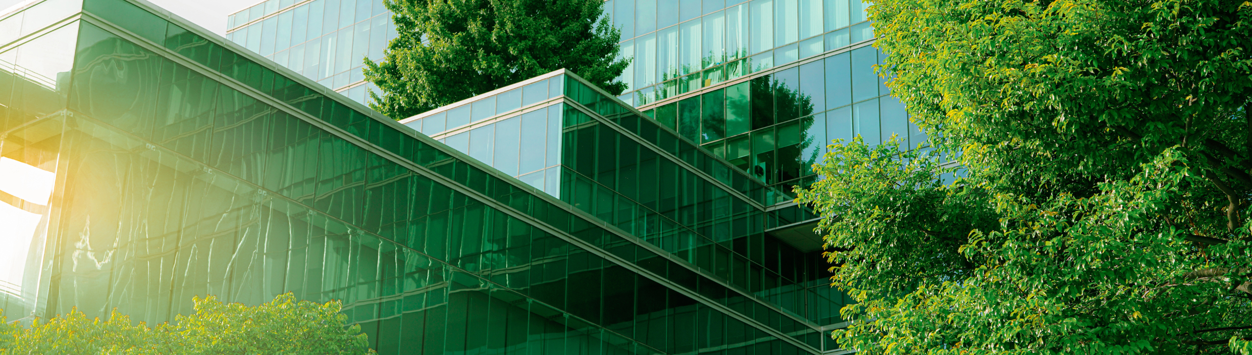 esg永續風險管理平台