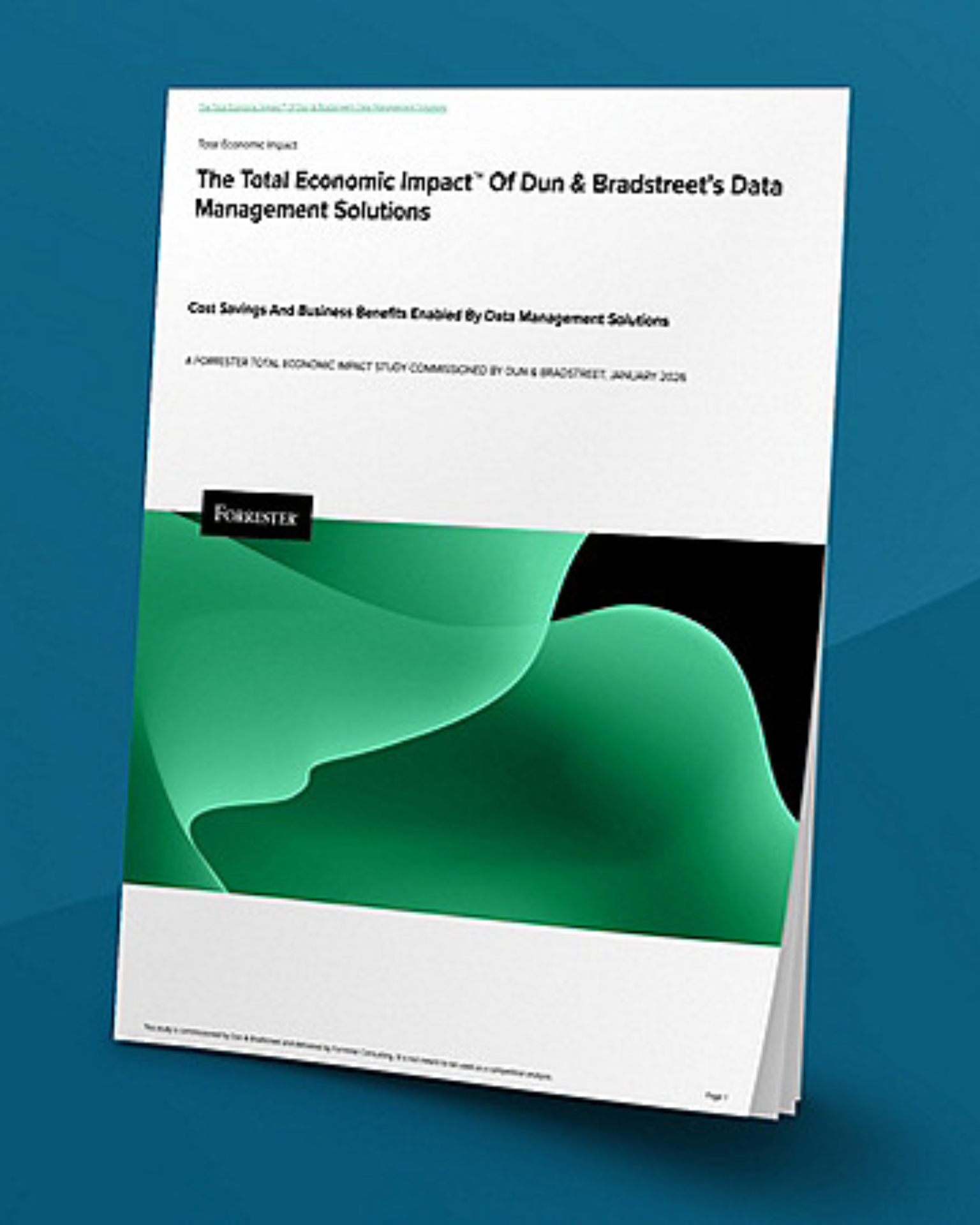 D&B Data Management Tools for Siloed Data