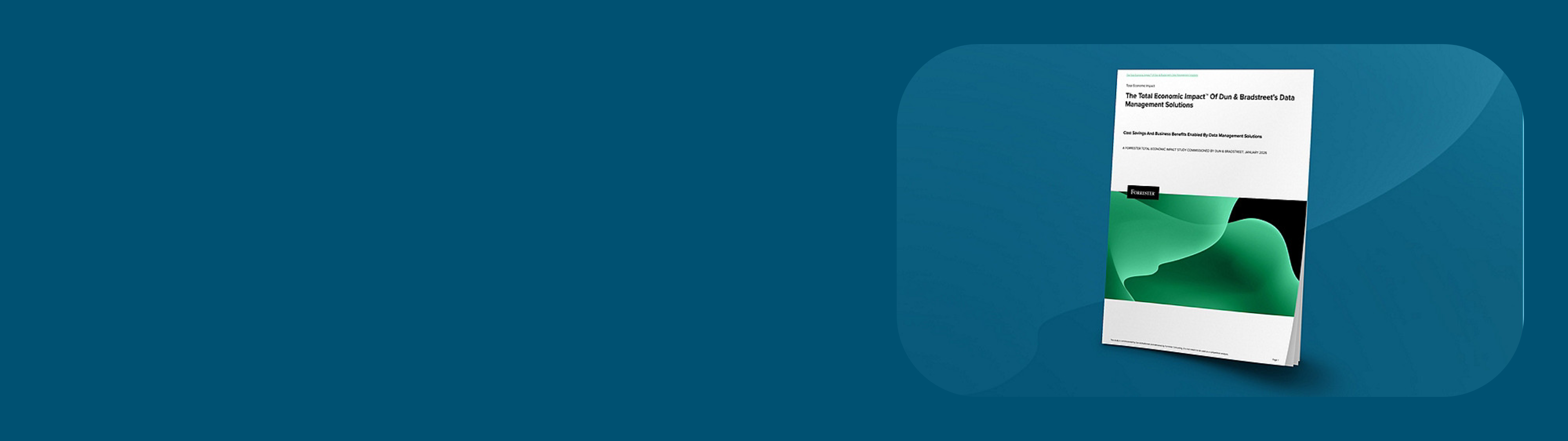 D&B Data Management Tools for Siloed Data